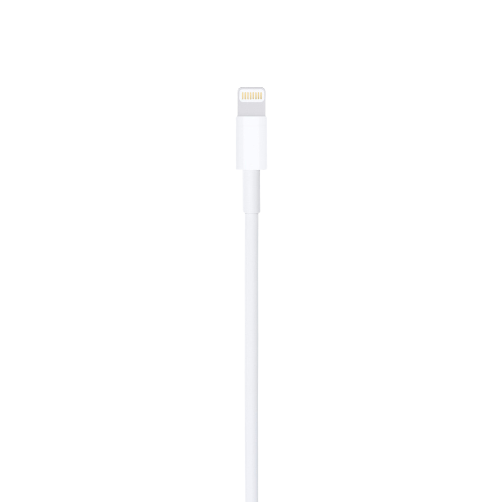 Cable Lightning - USB - ALP Store